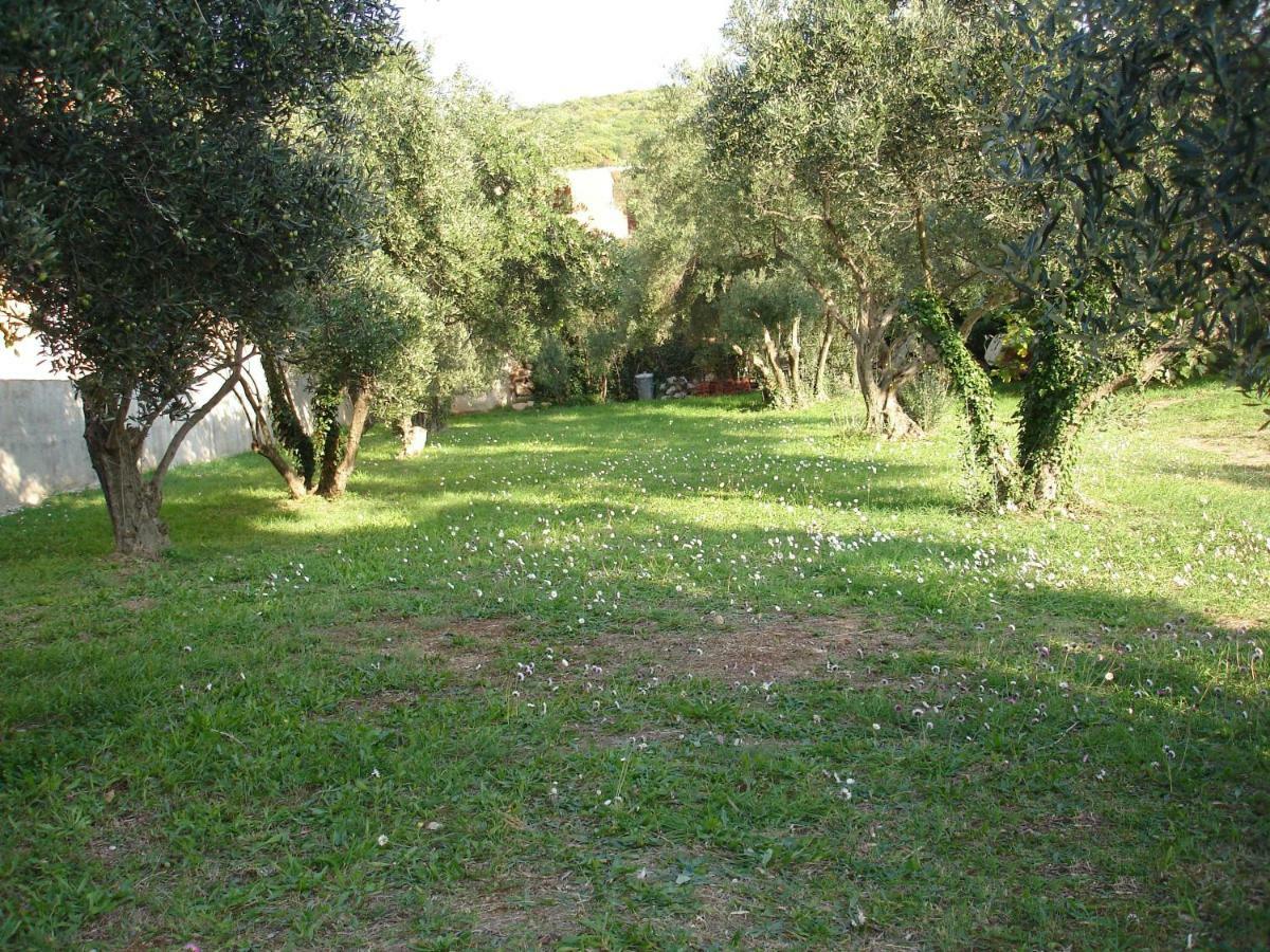 Apartmani Zoric Punat Exteriér fotografie